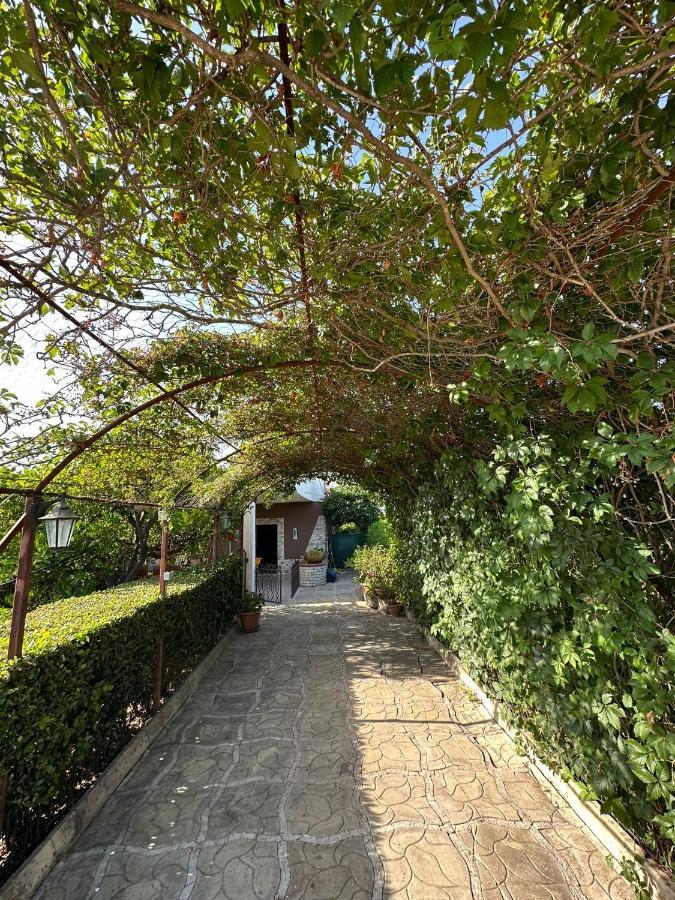 Villa Mariuccia Syracuse Extérieur photo